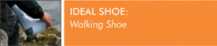 Ideal Shoe: Walking Shoe